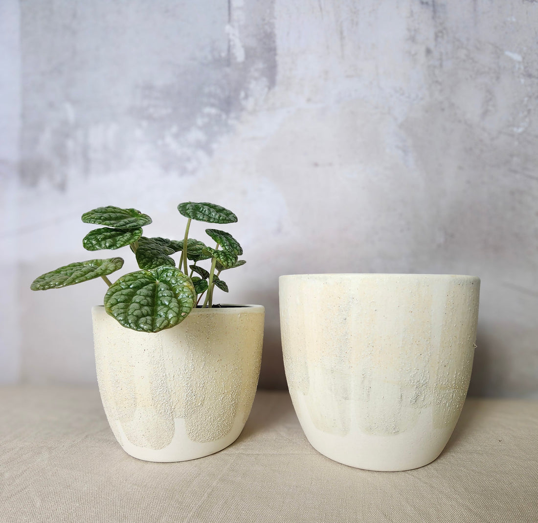 Large Ceramic Pot Plant - Salted White