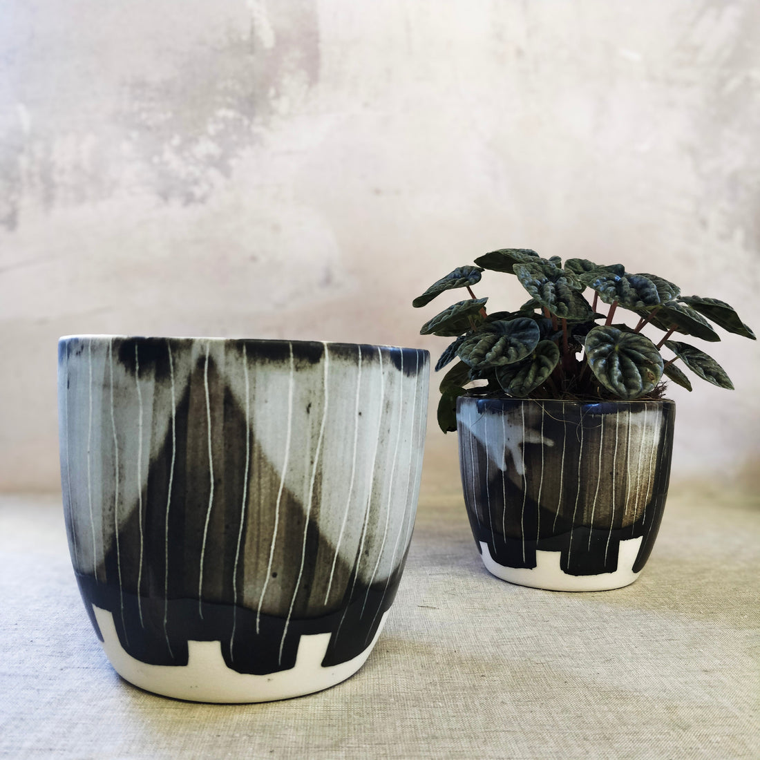 Small Ceramic Pot Plant - Charcoal Black